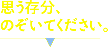 思う存分、のぞいてください。